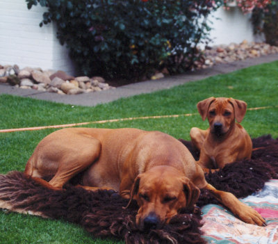 Shari zu Besuch bei Mama Kishi im Juli 2001